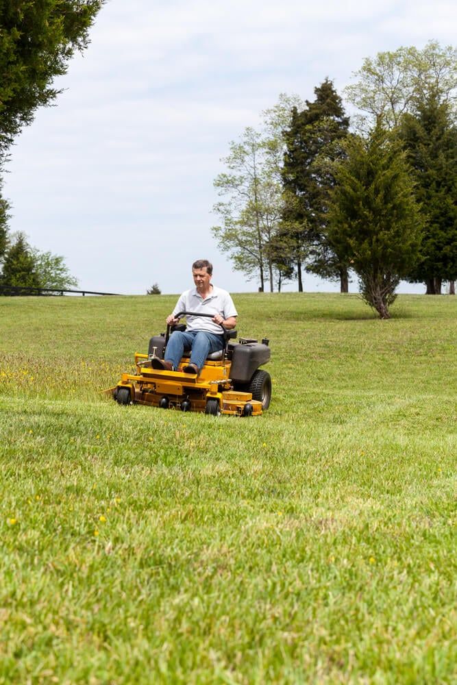 Homesteader riding the zero turn mower and cutting the grass on a massive lawn.
