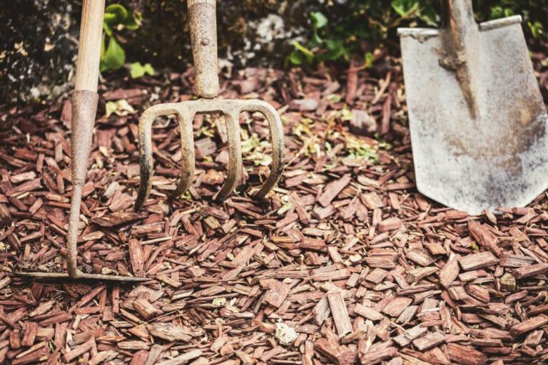 What to Do With Old Mulch In Your Garden + When to Throw It Away