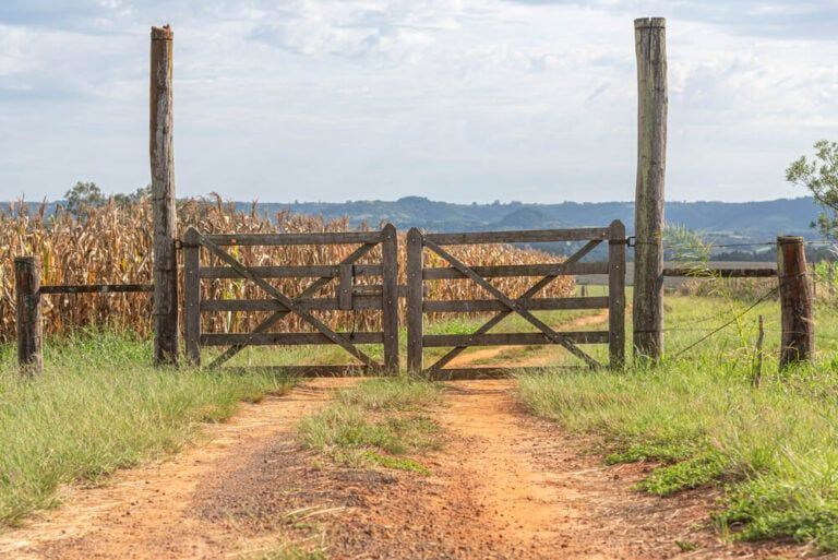 16+ Country Driveway Gate Ideas | Affordable, Easy & DIY