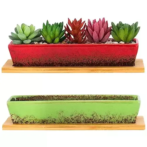 Succulent Pots - 2 Pack Large Succulent Planters with Drainage Tray
