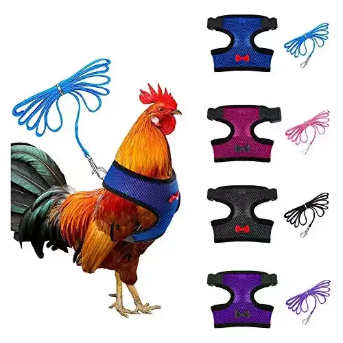 4 Pcs Adjustable Chicken Harness with Leas