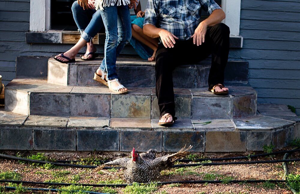 Homestead family lounging on the farmhouse porch with a chicken.