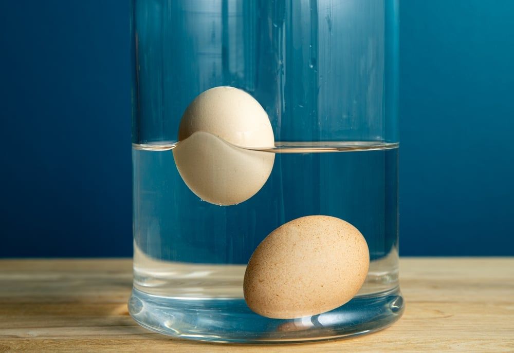 The egg freshness test; one egg is floating (rotten) and one egg is laying on the bottom of the jar (fresh)