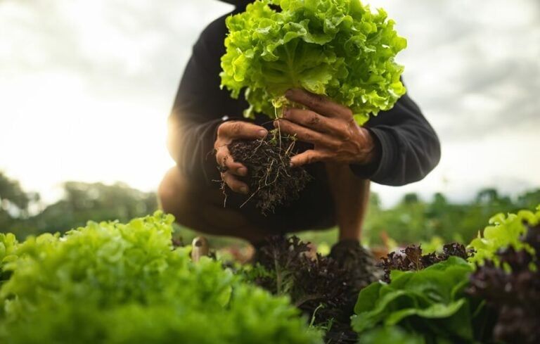 How to Make Money Gardening – 12 Ways to Profit as a Small Backyard Farmer!