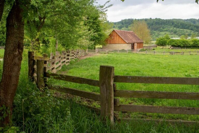 Farm Fence Ideas | 5 Innovative Homestead Fence Designs and Styles