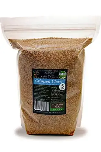 Crimson Clover Seed - Oregon Grown Non-GMO Seeds - 5 Pounds