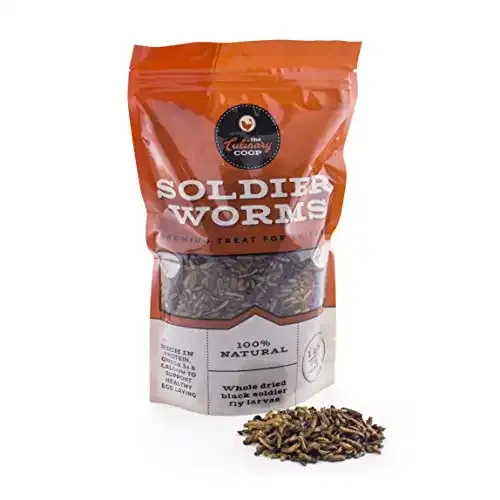Fluker’s Culinary Coop Soldier Worms Premium Treats for Chickens