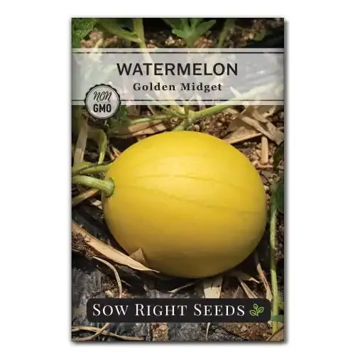 Sow Right Seeds | Golden Midget Watermelon Seed for Planting