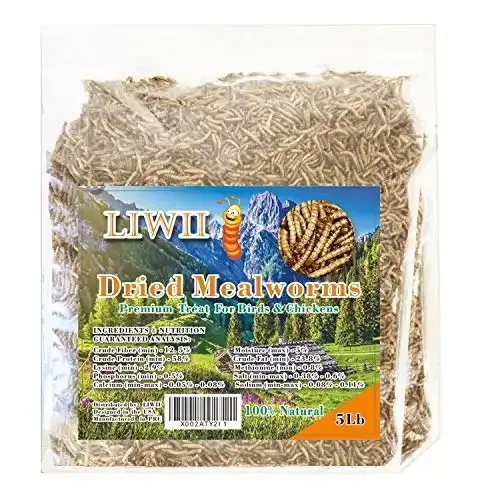 Five Pounds of Dried Mealworms | Liwii
