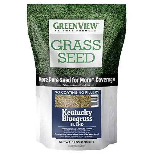 Fairway Formula Grass Seed Kentucky Bluegrass Blend | Three Pounds | Greenview