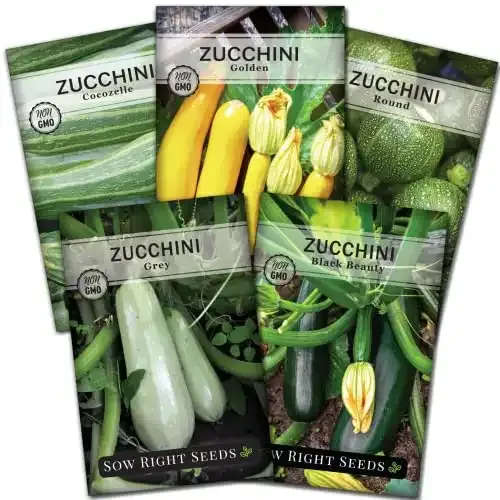 Zucchini Squash Seed Collection | Sow Right Seeds
