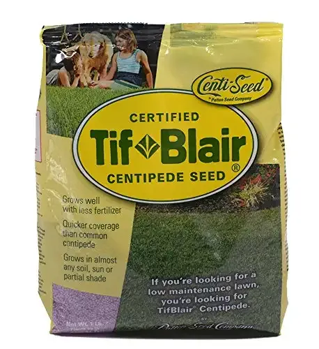 Centipede Grass Seed | One Pound | TifBlair