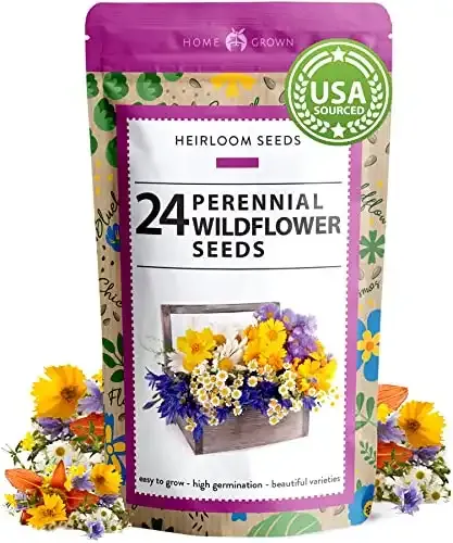 90,000+ Wildflower Seeds - Bulk Perennial Wild Flower Seeds Mix | Heirloom Seeds