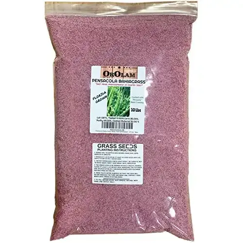 Pensacola Bahia Grass Seed | Ten Pounds | SeedRanch