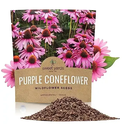 Sweet Yards Seed Co. Purple Coneflower Seeds: 3,000 Open Pollinated Non-GMO Wildflower Seeds