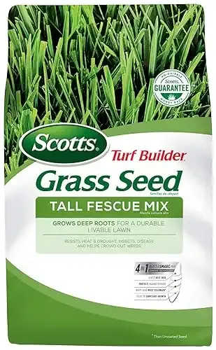 Turf Builder Grass Seed Tall Fescue Mix | Scotts