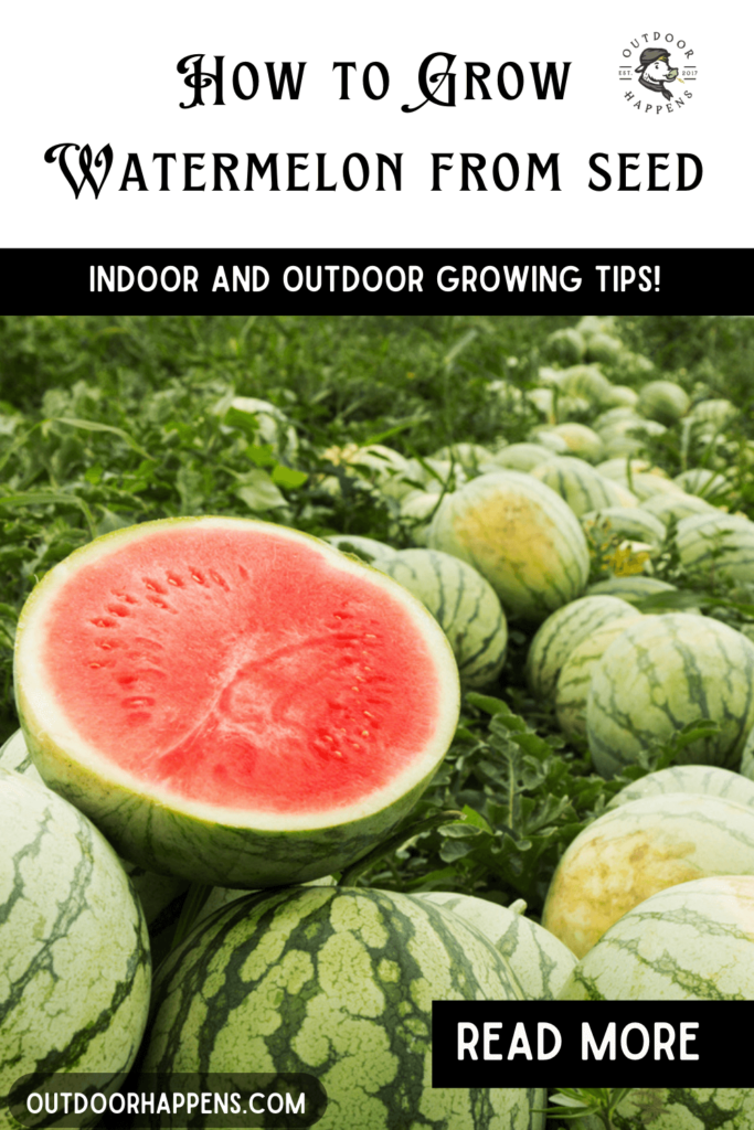 How to grow watermelon from seed to harvest indoor and outdoor growing tips.