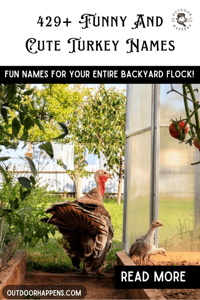 429 funny cute and pardoned turkey names.