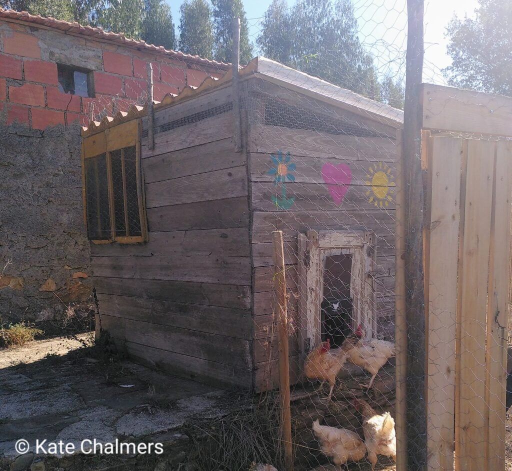 This solid concrete slab provided the perfect fox-proof base for our chicken coop