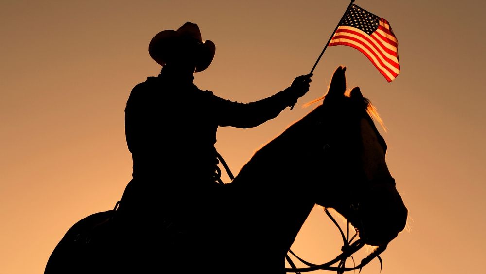 Horse silhouette against the sunset with American flag