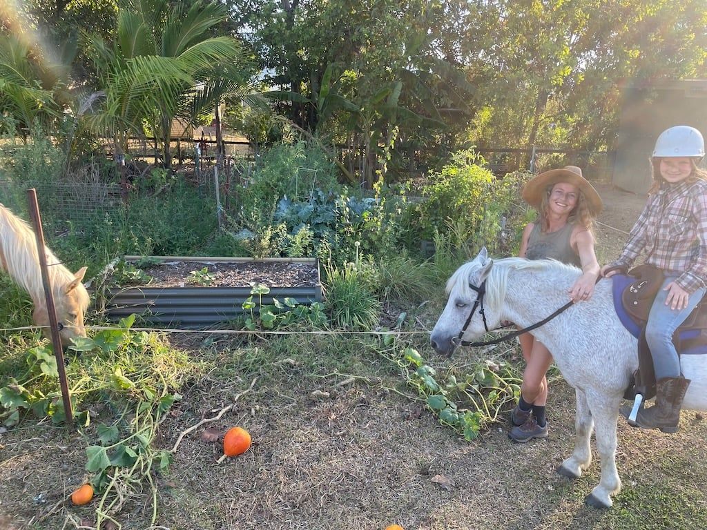 Trinket the pony and Athena the palomino mare in my vegetable garden.jpeg