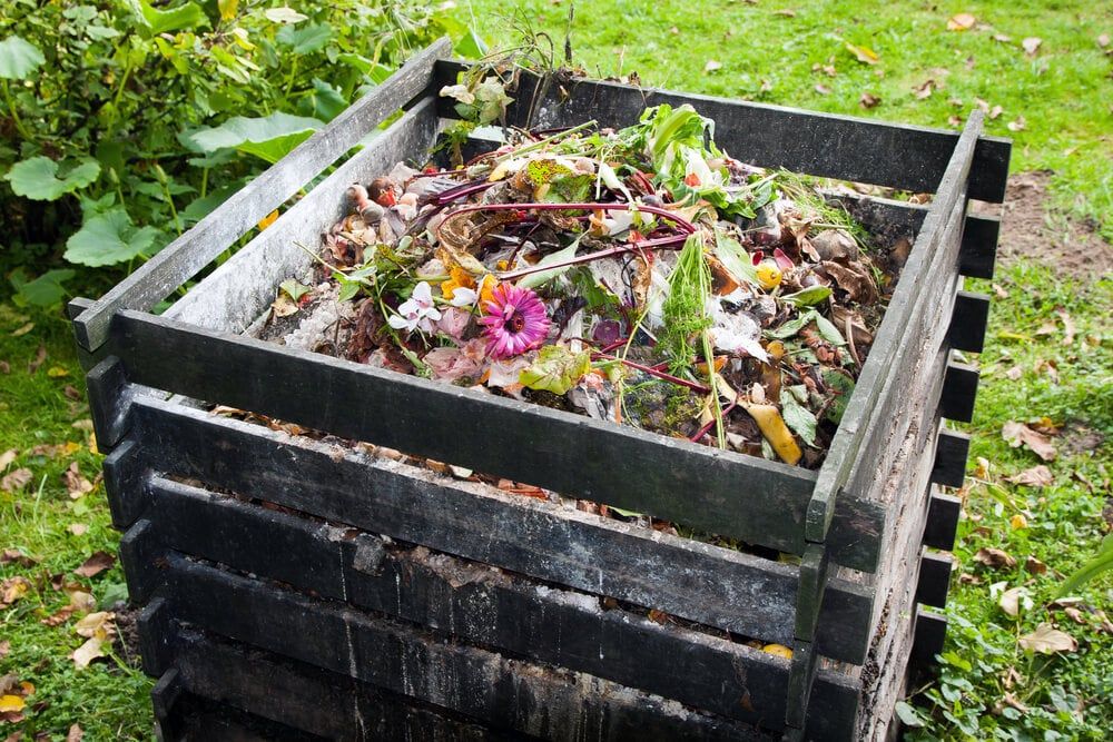 A wooden compost bin in the backyard for food recycling and helping amend garden soil.