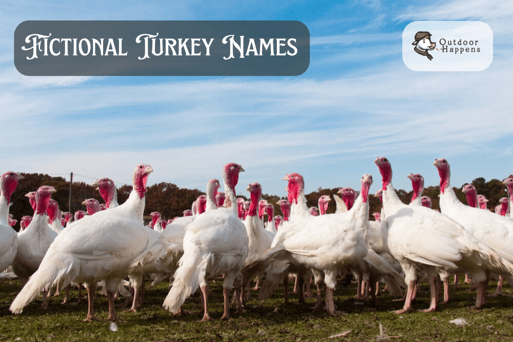 Fictional character turkey names.