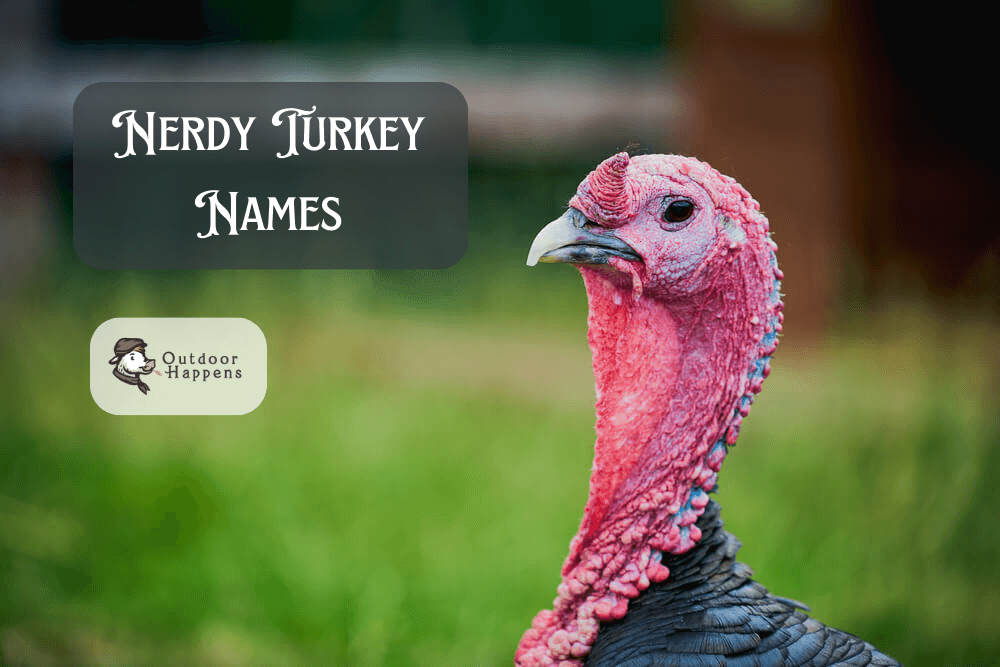 Nerdy turkey names.