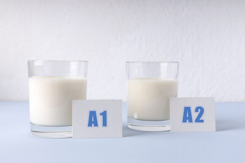 Two glasses of delicious A1 and A2 milk.