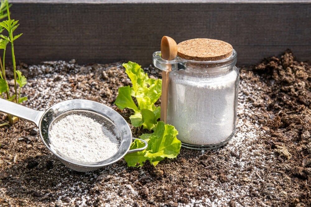 Food-grade Diatomaceous Earth in a glass jar with serving utensils.